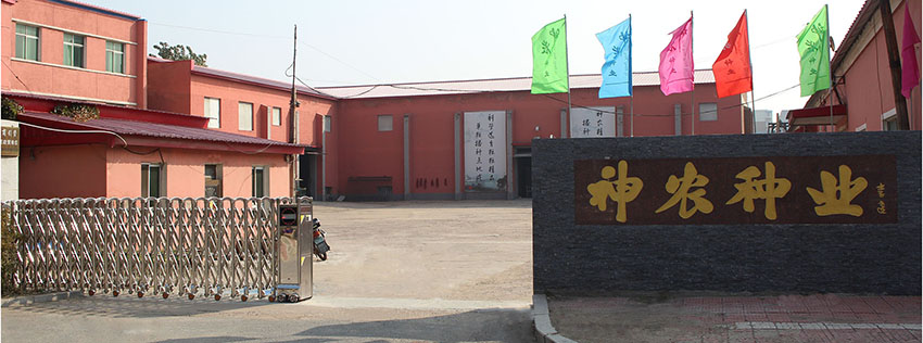 1509412417309054.jpg 12.jpg